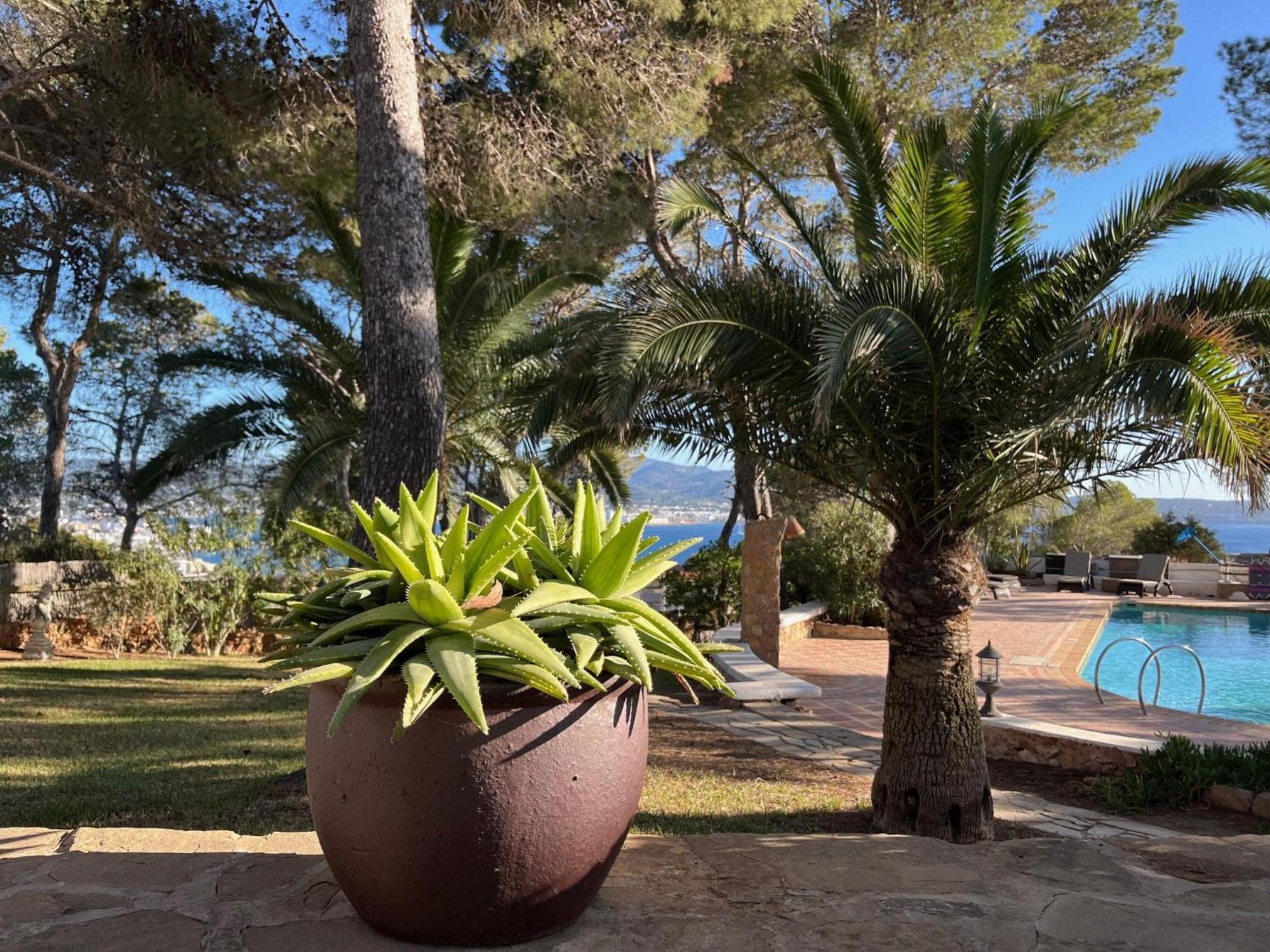 Villa Colina Ibiza San Antonio  Exterior photo